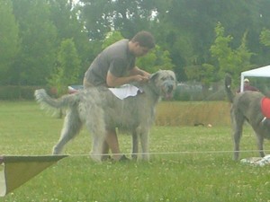 Kralupy nad Vltavou červen 2012